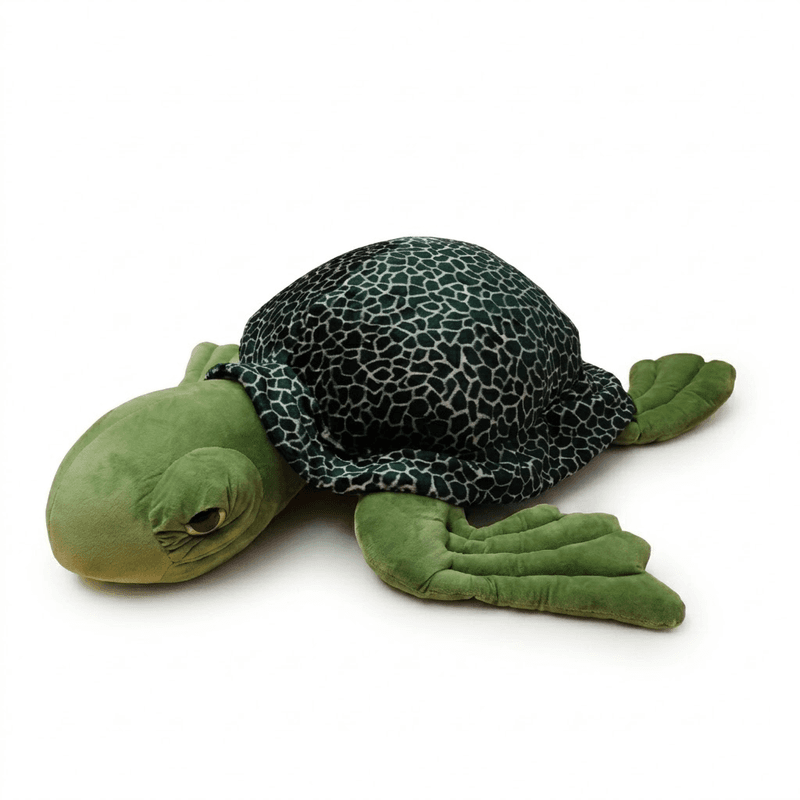 Tortuga